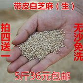 免运费 白芝麻生批发 500g一斤农家带皮白芝麻特级 包邮 白芝麻生
