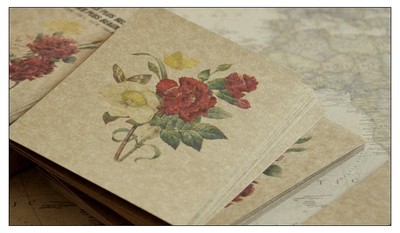 复古明信片 古风杜蕾德手绘植物插画图谱明信片 牛皮纸 29张/盒