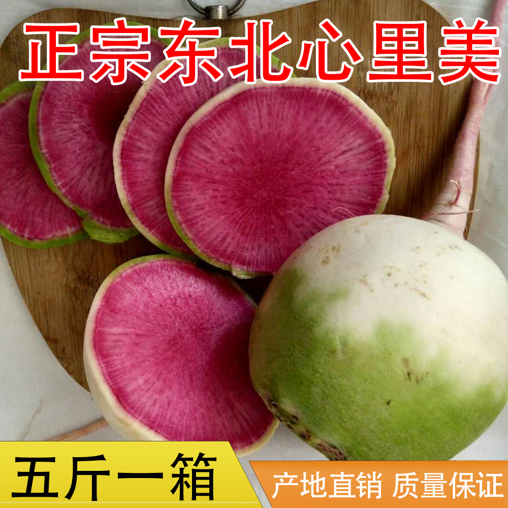 北京杂交心里美萝卜种子 寿光蔬菜种子 满堂红 100g 萝卜种子