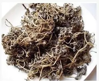 中药材天然野生 马齿笕 马齿苋 长寿菜 干野菜 马齿草 500克