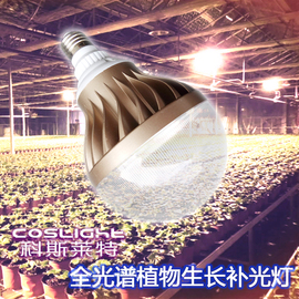 [蔬菜大棚补光灯]评价 蔬菜大棚植物生长灯怎么