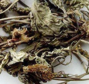 中药材批发野生车前草 车前草茶 五更草 田灌草 500克包邮