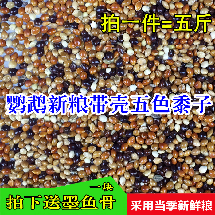 中小鹦鹉鸟食饲料五色红黍子虎皮牡丹鹦鹉混合营养粮谷子带壳鸟粮