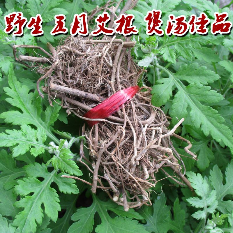 野生五月艾根(纯根)艾叶根老艾根艾草根客家煲汤好料半斤装