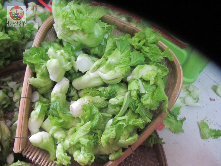 四川农家自种有机抱子芥菜芽芽菜超生菜背儿菜抱儿菜菜菜