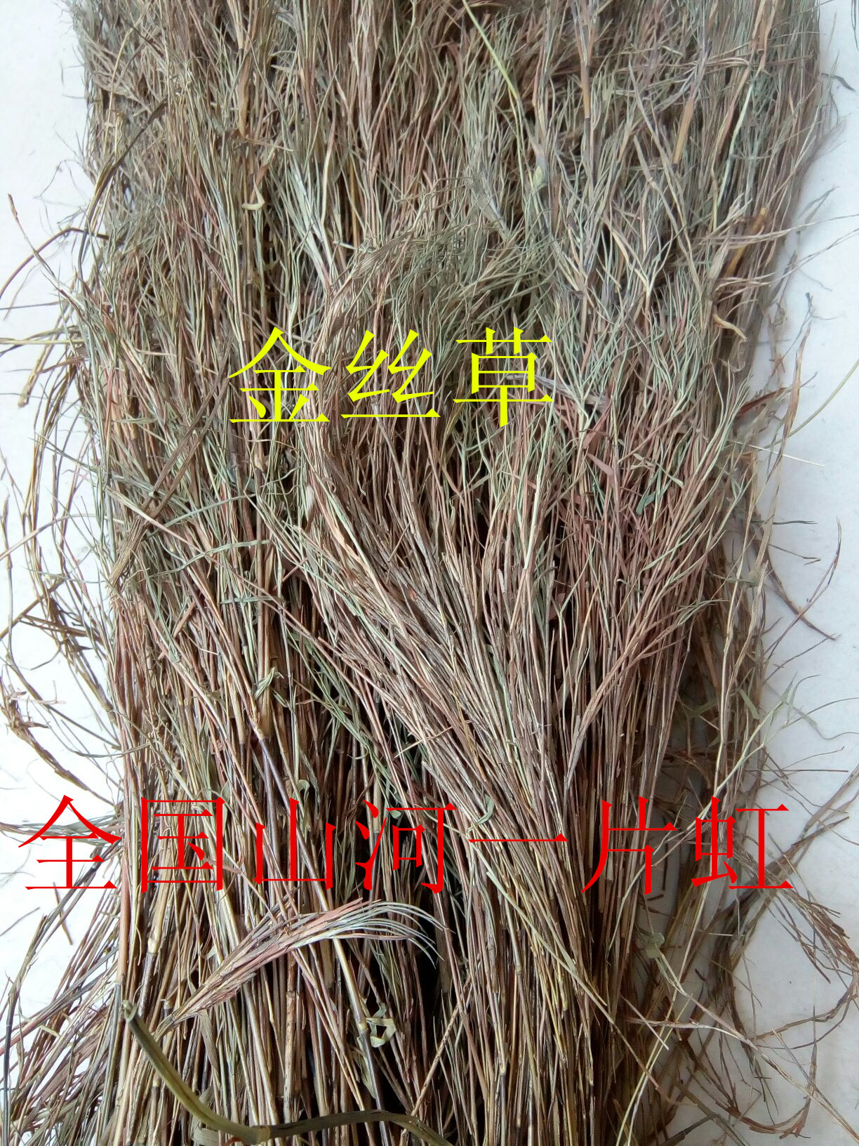 中药材 金丝草/菟丝草/牛尾草/猴毛草/猫毛草/马鞍草500克