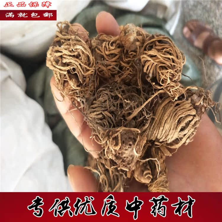 头顶一颗珠 中药材头顶一颗珠 蛇头草 蜂斗菜 500克包邮