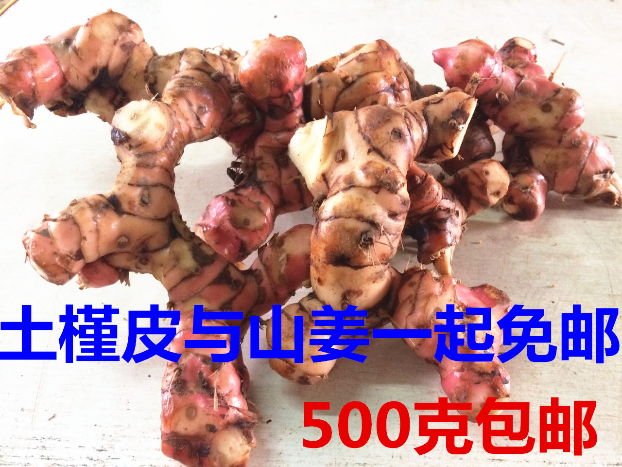 新鲜野生山姜头 野生南姜高良姜芦苇姜山姜头鸡 治汗斑500克包邮