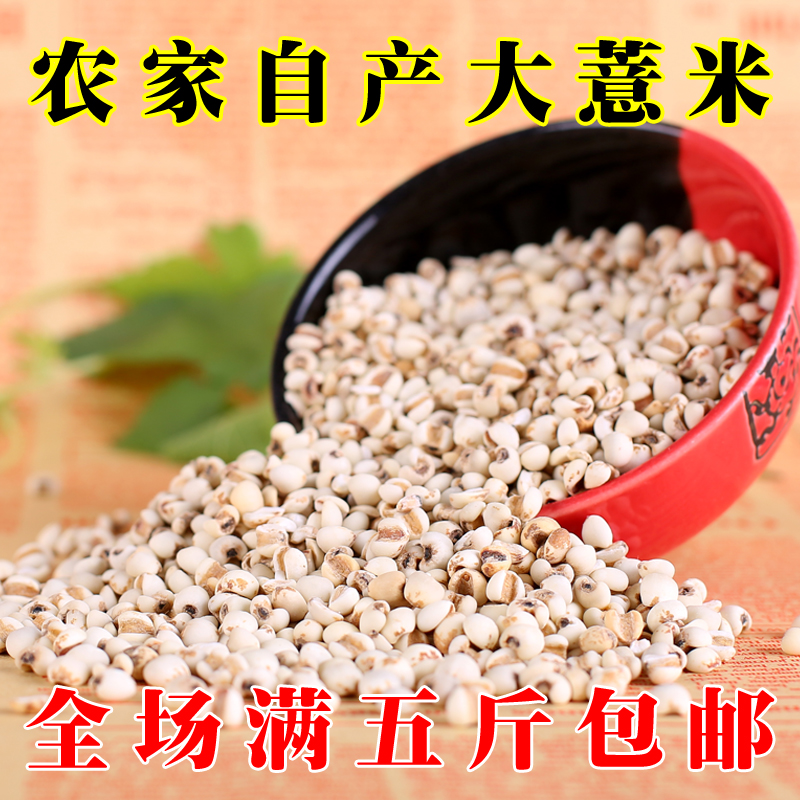 精选 薏米仁 大薏米 薏仁米 苡米仁 铁玉米沂蒙山区特产粗粮 250g