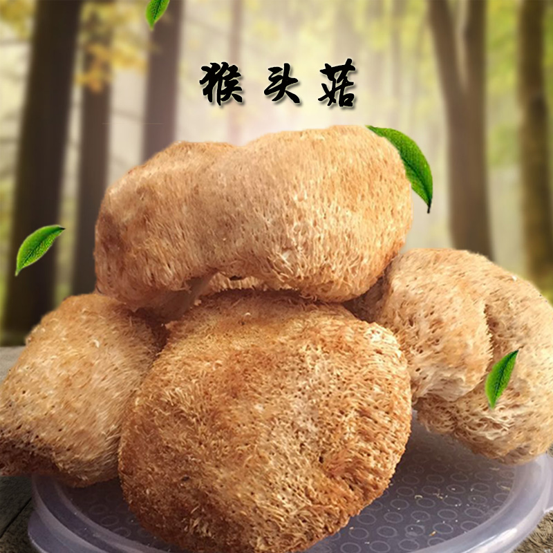 菌益 大猴头菇200g 福建特产干货深山农家猴头 无硫猴头菇特产
