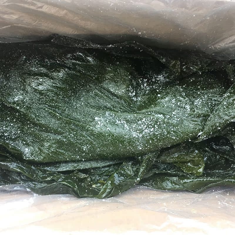 特价荣成特产盐渍海带深海野生特产整颗海带非干货五斤装包邮