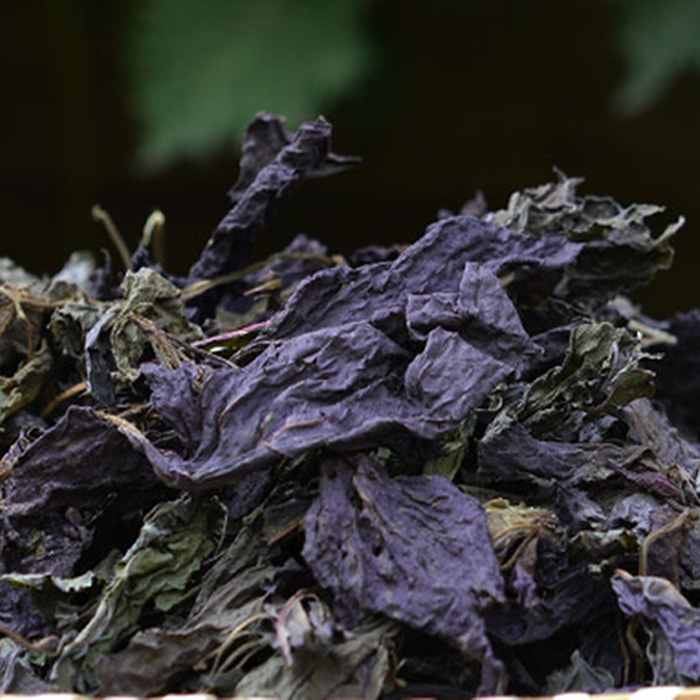 正宗湖南特产农家有机野生纯天然新鲜干紫苏叶现摘去腥包邮