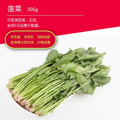 菠菜300g 新鲜蔬菜波斯菜菠薐菠柃鹦鹉菜红根菜飞龙菜 坏菜包赔