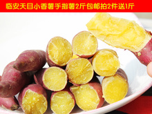 红皮地瓜2斤 黄心迷你小香薯 包邮 金手指薯 临安天目山新鲜现挖