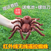 红外线恶搞遥控蜘蛛电动爬行仿真动物创意吓人整蛊男女孩儿童玩具