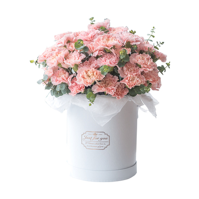 成都郫县新都温江同城鲜花速递教师节母亲节康乃馨鲜花花束礼盒