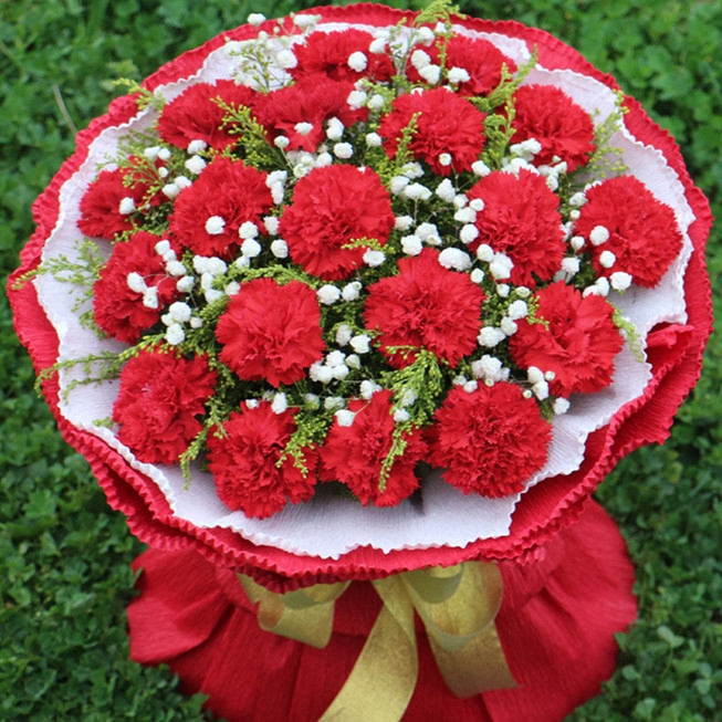 19朵粉色康乃馨花束鲜花速递同城生日送花送妈妈青岛市胶南莱西市