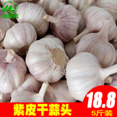 大蒜头 紫皮干 干蒜5斤 2017年 包邮 紫皮大蒜 批发 干大蒜 新鲜