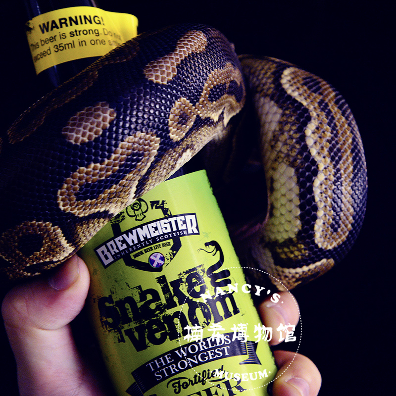 5度 世界烈性啤酒top1 蛇毒啤酒 snake venom 苏格兰进口