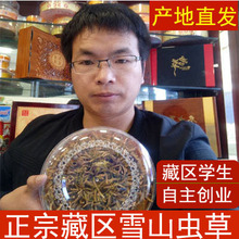 玉树野生新鲜虫草4条1克 正宗无断虫草礼盒 西藏那曲冬虫夏草正品