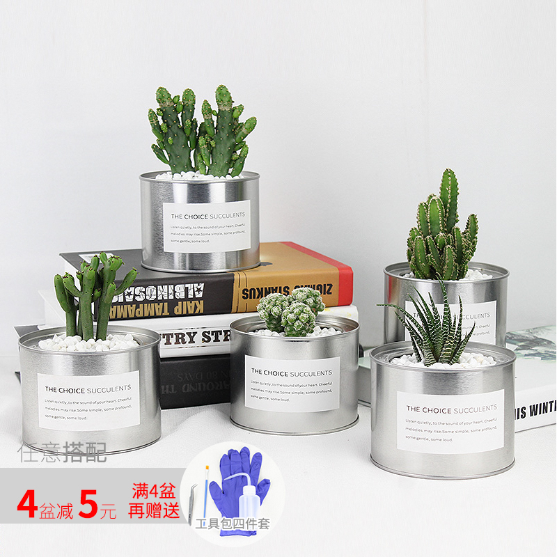 推荐最新十二新作海报 十二新作曲目信息资料