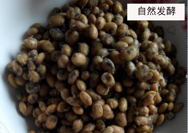 湖南特产香辣腊八豆450g农家自制霉豆子酱菜豆豉调味酱下饭菜包邮