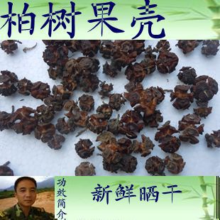 3斤包邮柏树籽 子 柏子野生侧柏树籽 柏树壳籽 柏树种子 500g