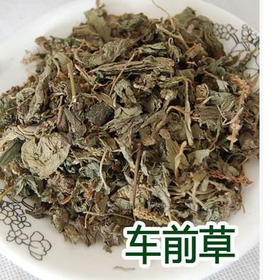 中药材车前草500克 中草药  车轮菜 田灌草 纯正新货