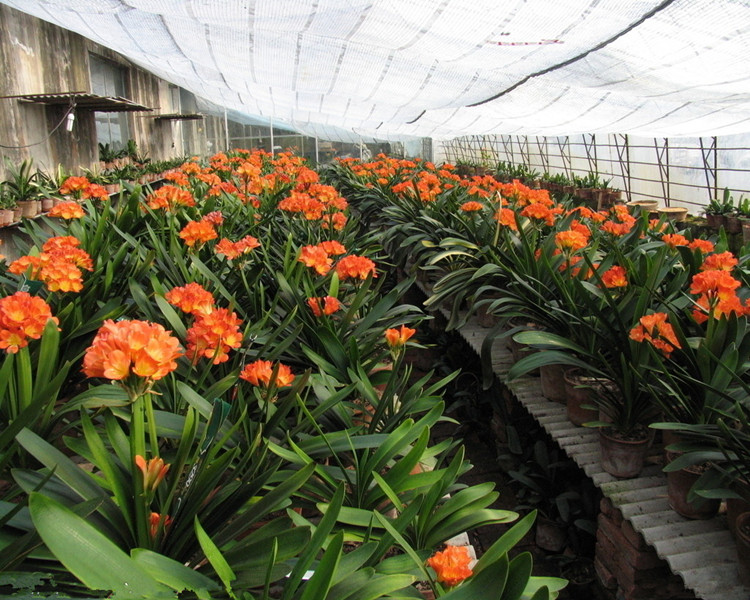 正品[室内 壁球]室内壁球馆评测 室内壁球场地尺