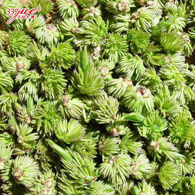 三山七绝杜仲雄花茶花朵花蕊 秦 岭野生杜仲茶针形2016新茶春茶