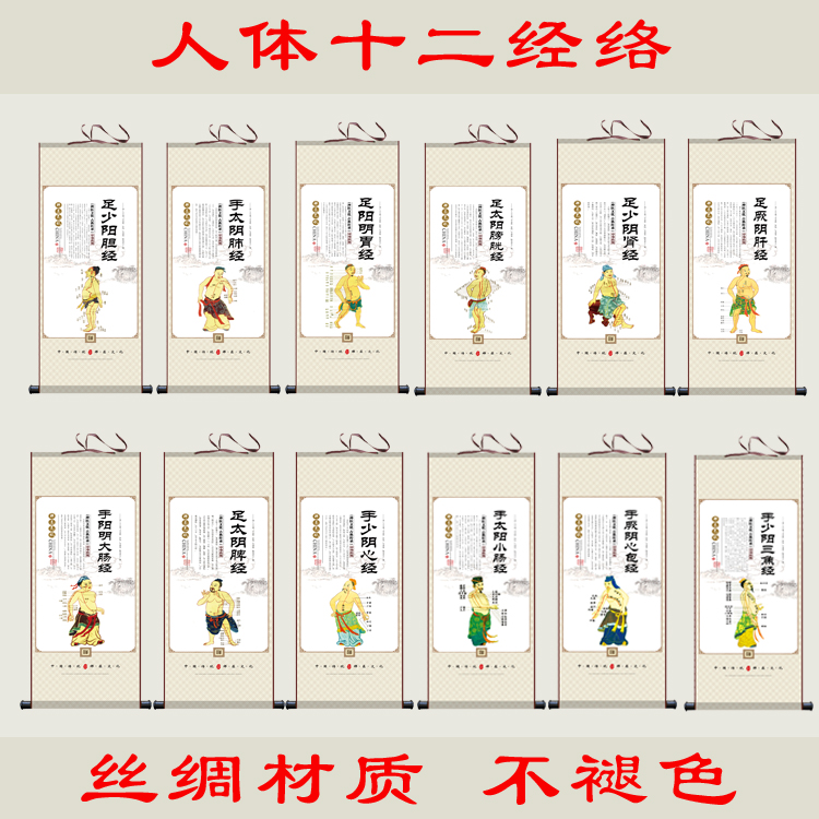 中医文化海报 十二经络走向图卷轴挂画 中医养生人体穴位医学挂图
