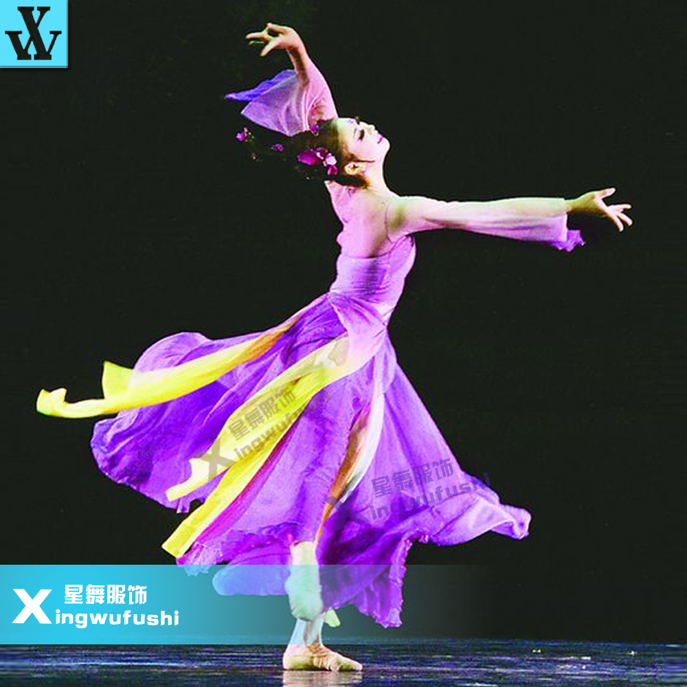 《且看行云》第十届桃李杯古典舞独舞青年女子舞蹈演出服民族服