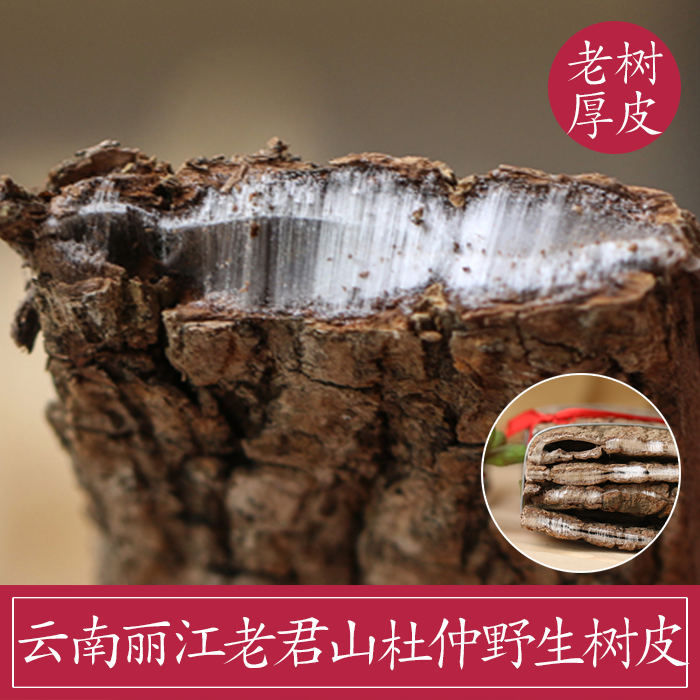 纳西田野云南丽江老君山杜仲皮 野生老树 厚皮 传统中药材 100克