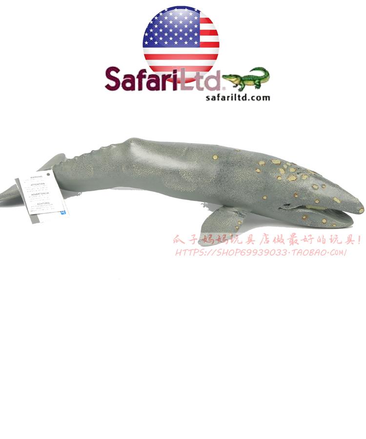 safari 美国专柜正品 灰鲸 35cm 野生海洋鲸鱼类模型玩具 210402