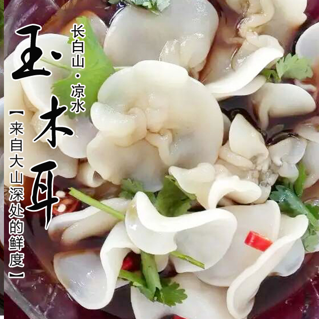 玉木耳东北特产木耳干货菌类长白山白木耳肉厚无根非银耳250g包邮
