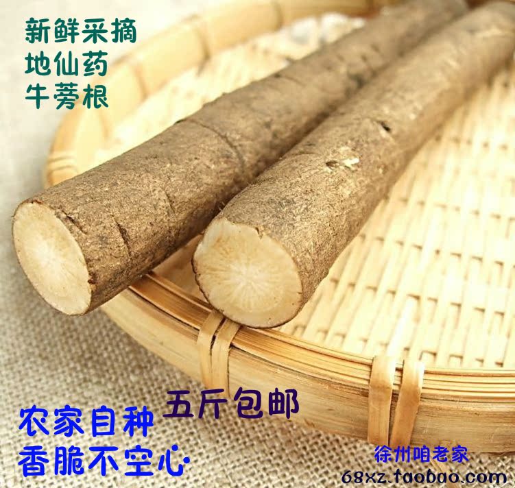 新鲜牛蒡根 徐州特产 蔬菜  东洋参 东洋牛鞭菜 农家特产野菜