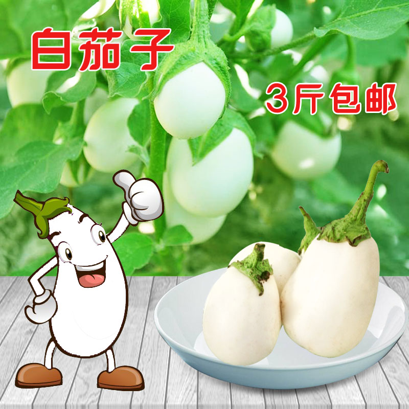 白茄子新鲜农家自种白皮圆茄子现摘绿色蔬菜鸡蛋茄子500克3斤包邮