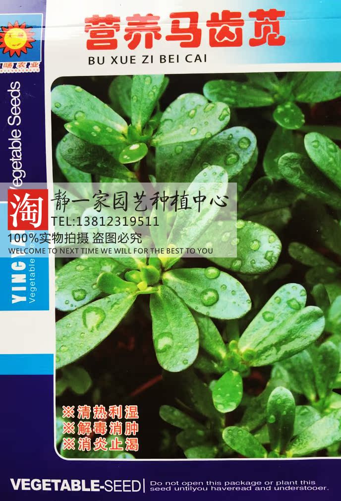 原装马齿苋种子马菜种子长寿菜种子五行菜 补血菜 多次采摘有机种