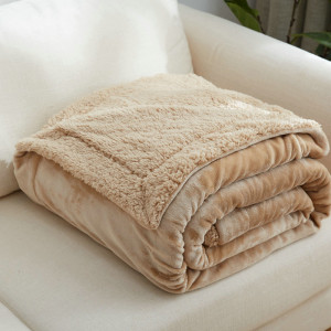 双层加厚保暖珊瑚绒毯子