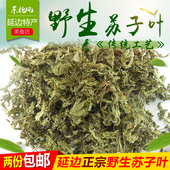 包邮 2份 狗酱 朝鲜族纯野生苏子叶 鱼汤 延边野苏子叶干