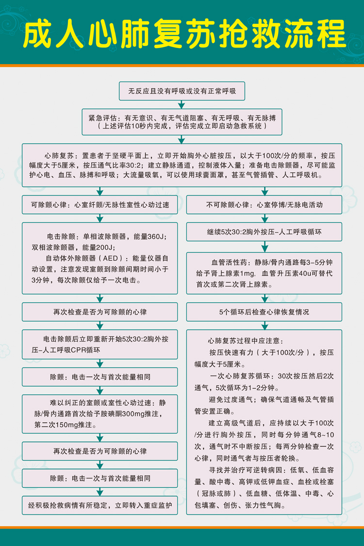 医院急救流程步骤挂图示意图 过敏性休克反应 心肺复苏抢救流程图