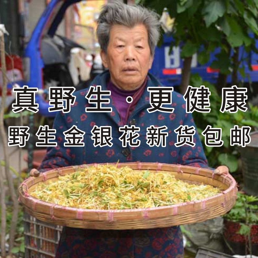 金银花 新货野生金银花 大别山金银花茶 苏仙石野生金银花茶包邮