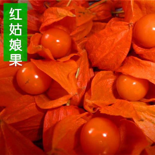 蔬菜水果盆栽四季播甜黄菇娘果黄姑娘紫姑娘果红姑娘果种子灯笼果
