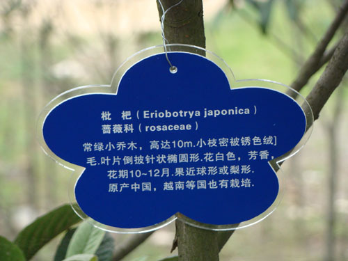 定制亚克力园林悬挂简介树木标识牌树牌树名花草新款广告牌