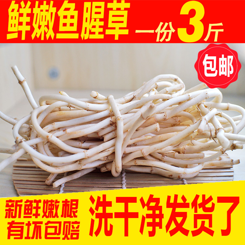 3斤现挖鱼腥草新鲜野生折耳根湖北特产节节根嫩根