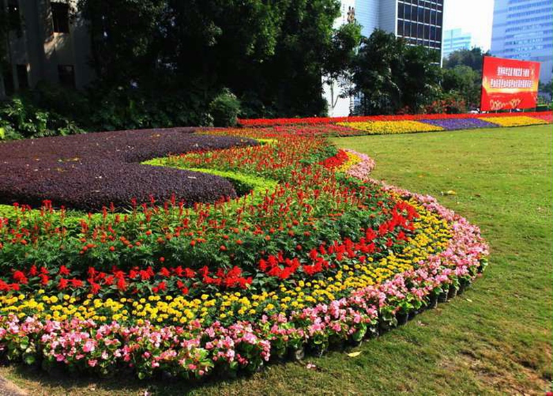 酒店大堂公园广场摆设景观绿雕绿植草花五一国庆新年节日造型摆花