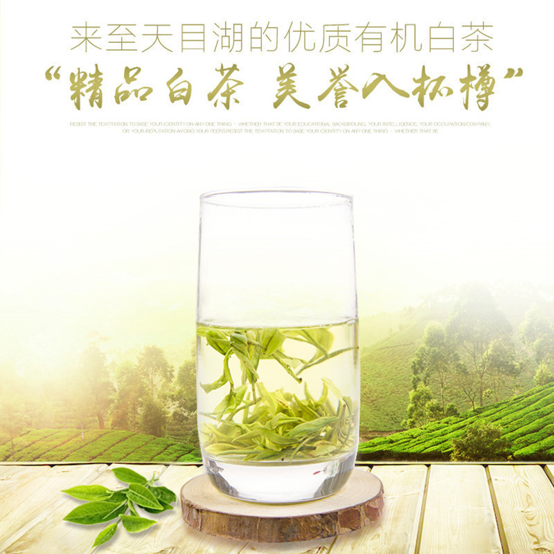 天天特价 溧阳茶叶 正宗天目湖明前白茶 小包装3g