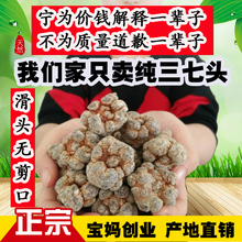 宝妈创业 云南文山纯三七20头30头60头子特级春田七500g克正品
