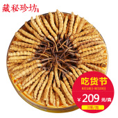3条 短巴子头期虫草非断草2 藏秘珍坊西藏那曲冬虫夏草野生正品