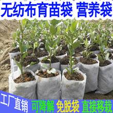 种植袋 营养钵 营养杯可降解免脱袋 包邮 营养袋 无纺布育苗袋